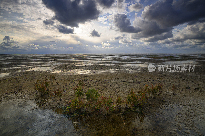 Wad或wadden空景观在瓦登海自然保护区'de wadden '与潮汐沙滩在荷兰北部